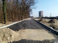 Imagine atasata: inel4-260.0..feb.2017-021.jpg